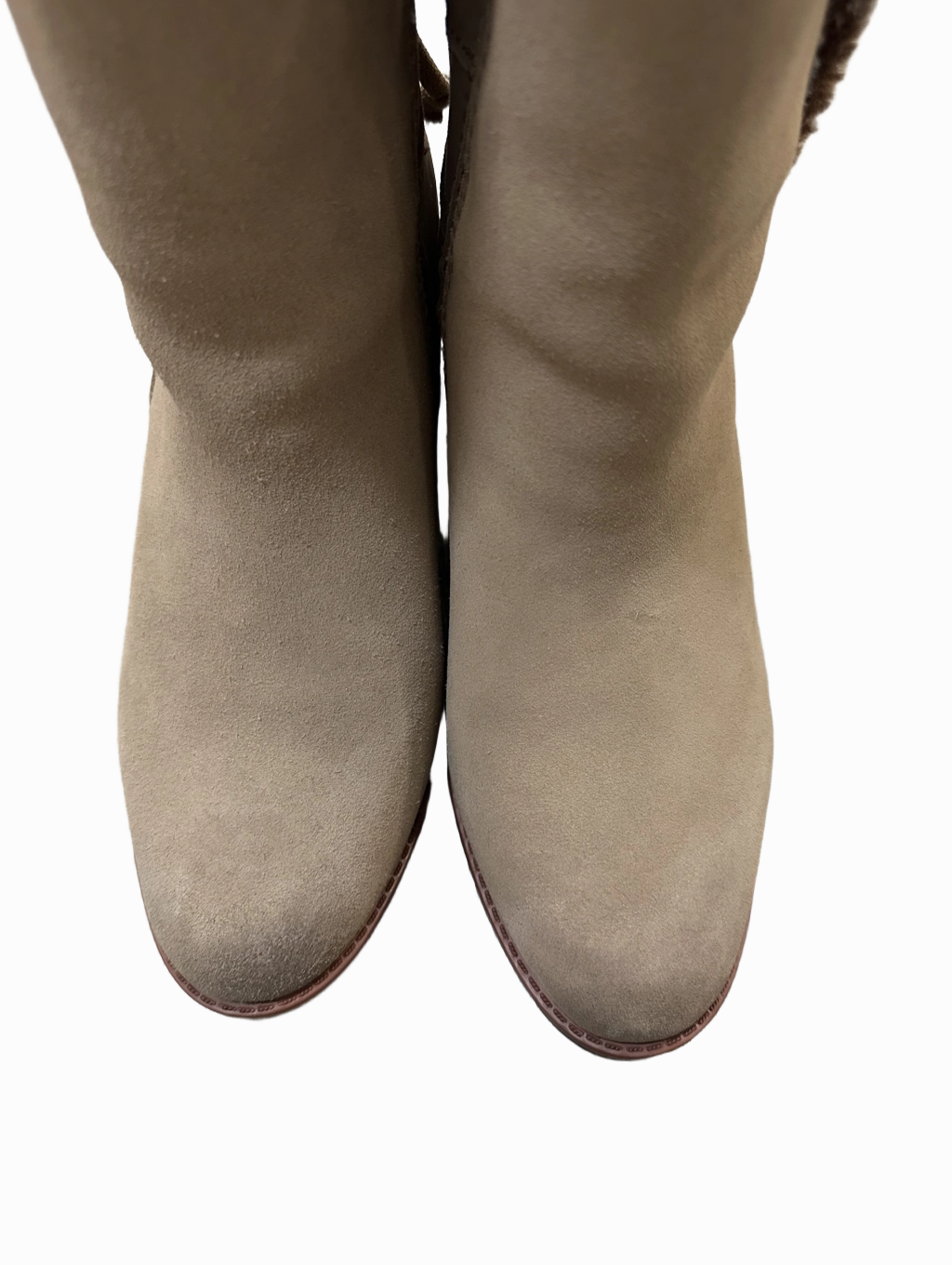 Boots Ankle Heels By Naturalizer  Size: 10