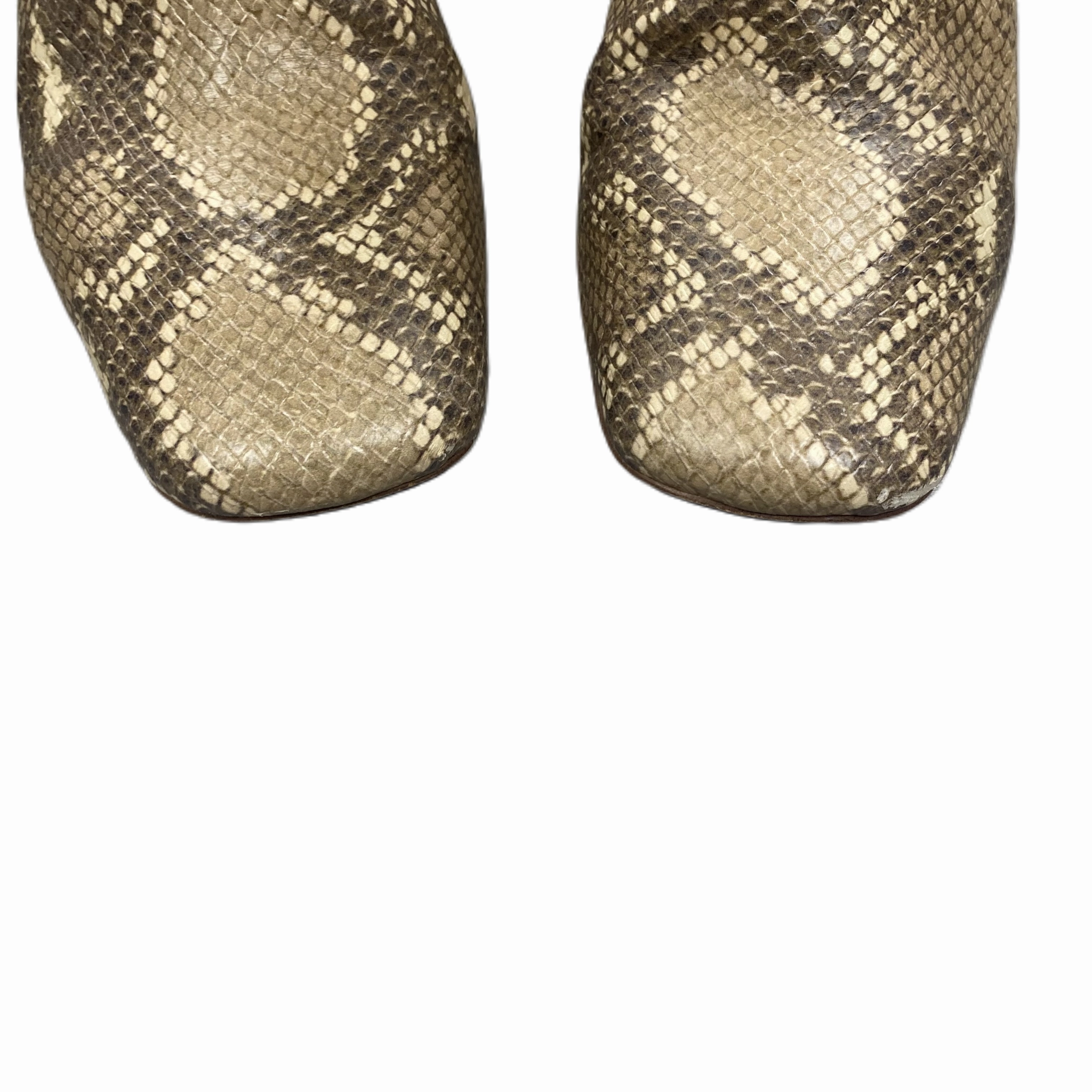 Boots Ankle Heels By Sam Edelman In Snakeskin Print, Size: 9