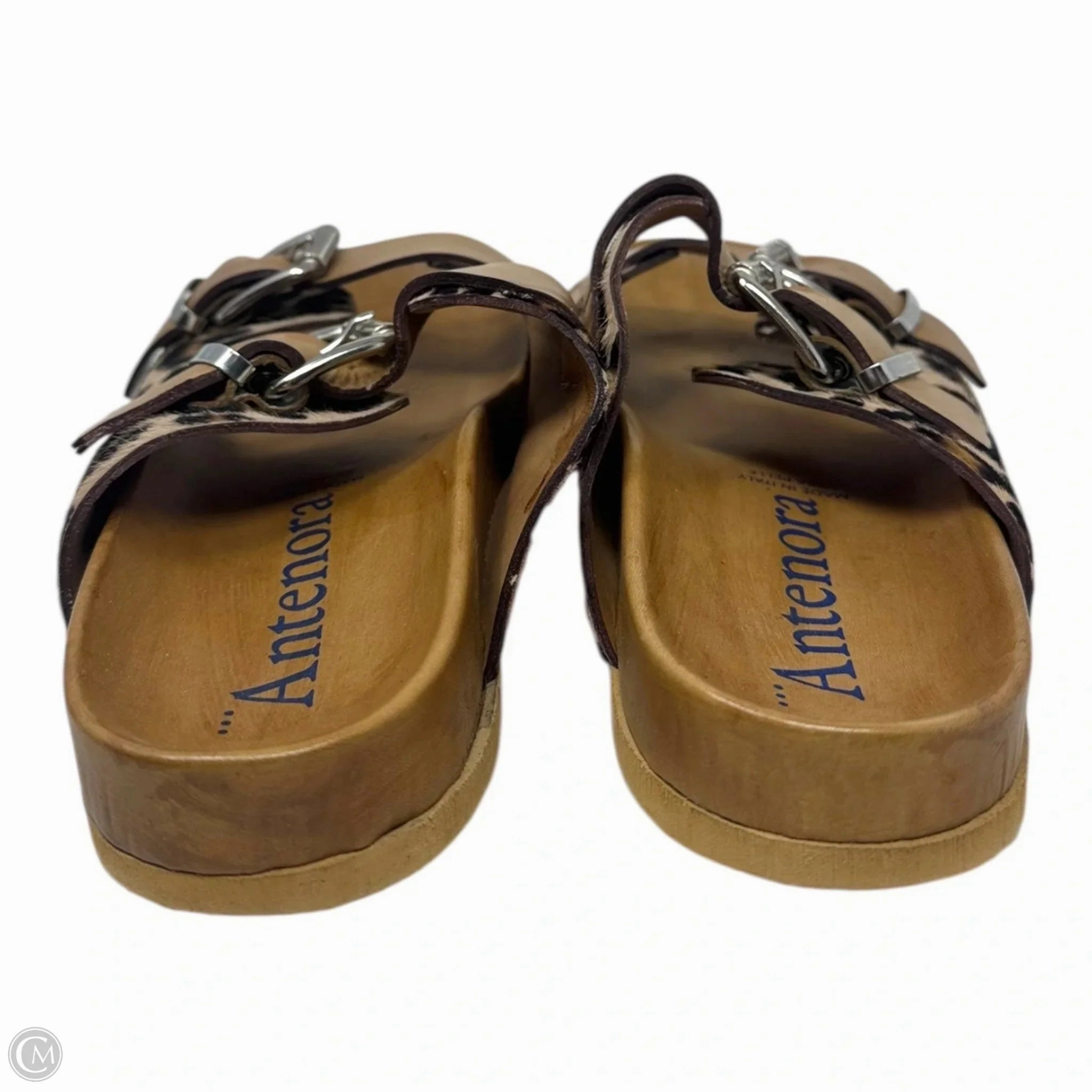 Leopard Buckle Sandals Flats By Antenora In Animal Print, Size: 9