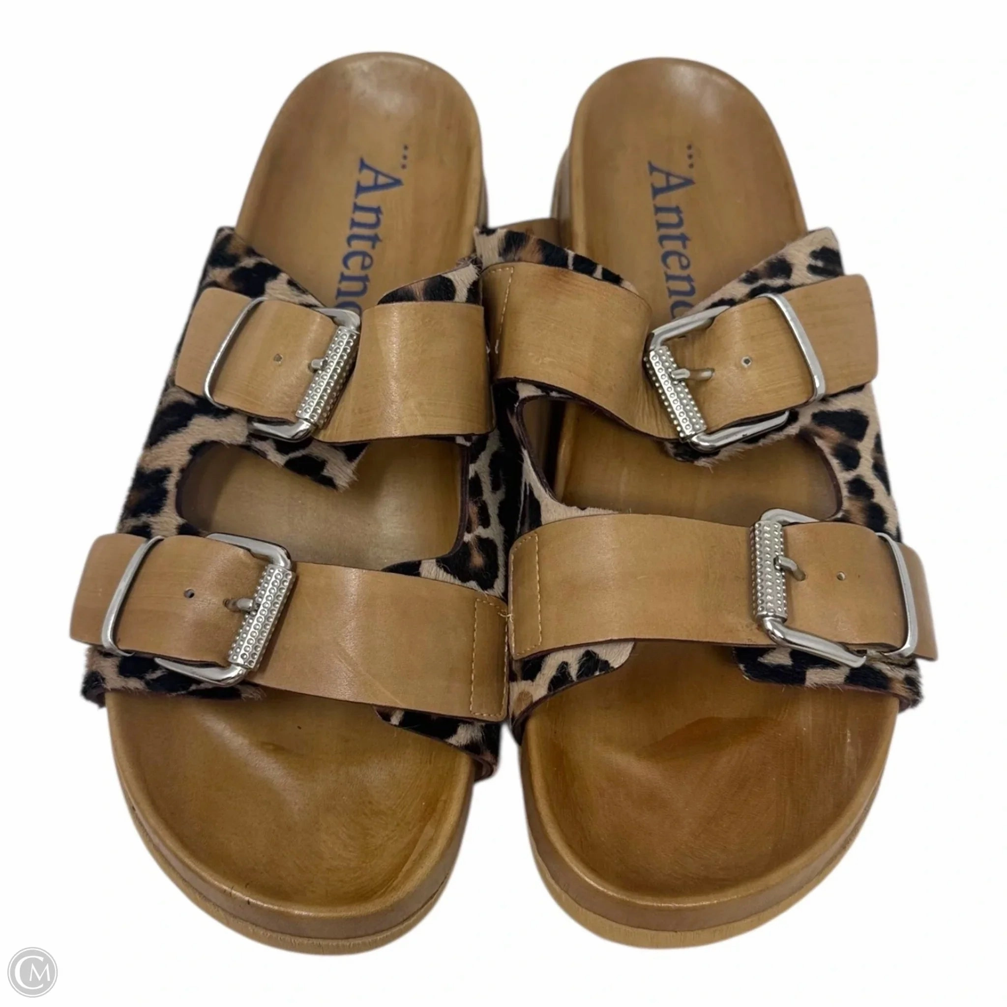 Leopard Buckle Sandals Flats By Antenora In Animal Print, Size: 9