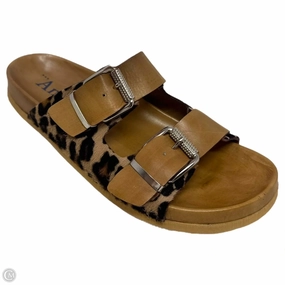 Leopard Buckle Sandals Flats By Antenora In Animal Print, Size: 9