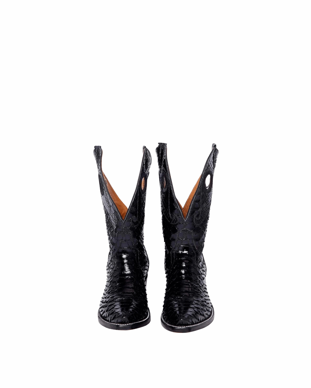 Molly Black Python