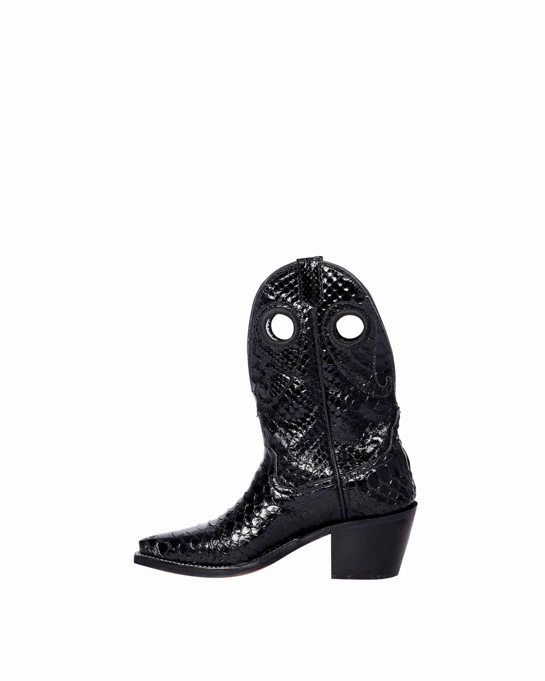 Molly Black Python