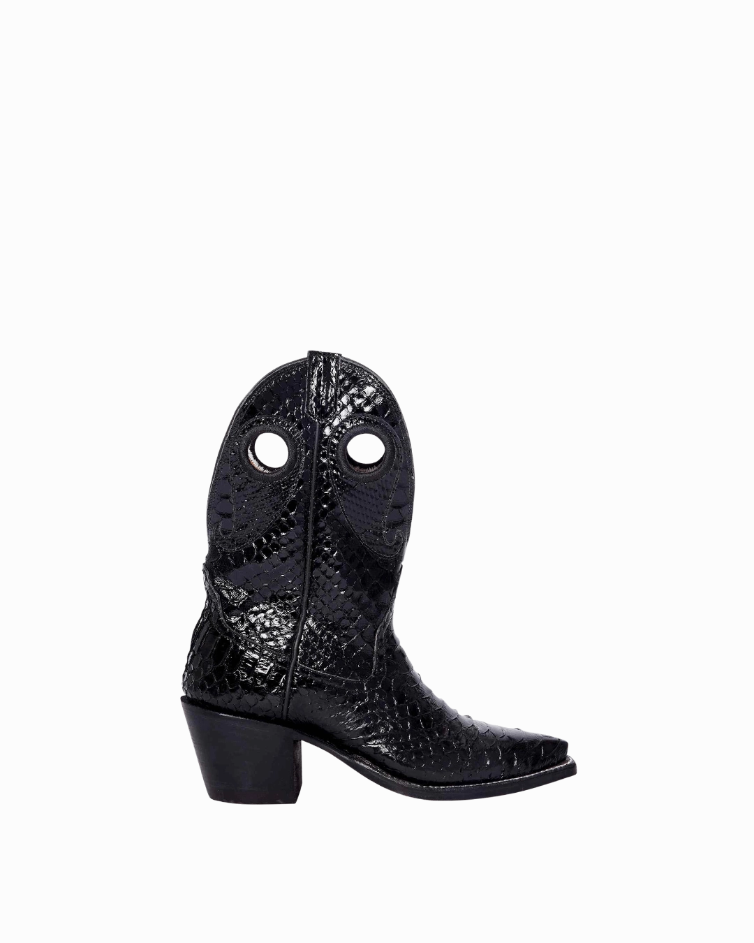 Molly Black Python