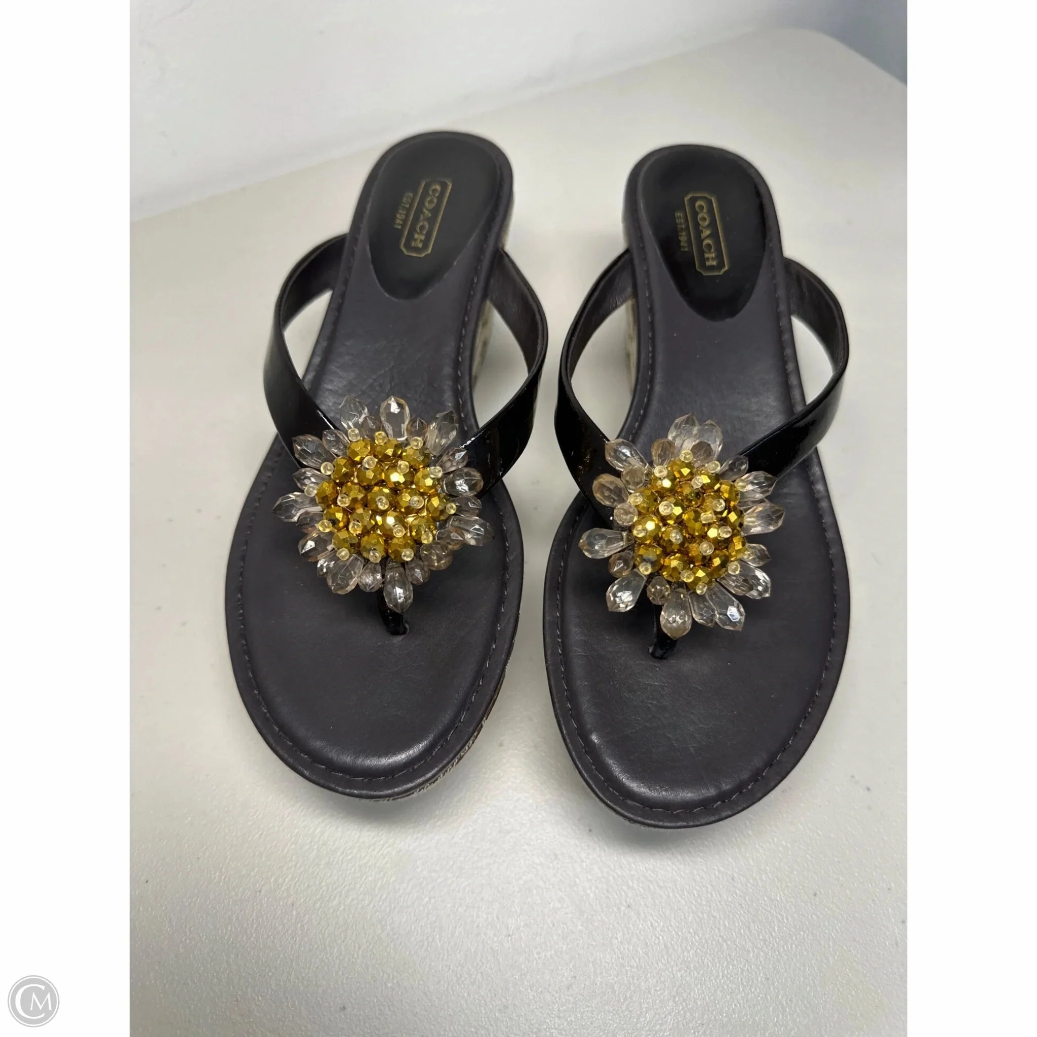 Sandals Designer By Coach In Brown, Size: 8
