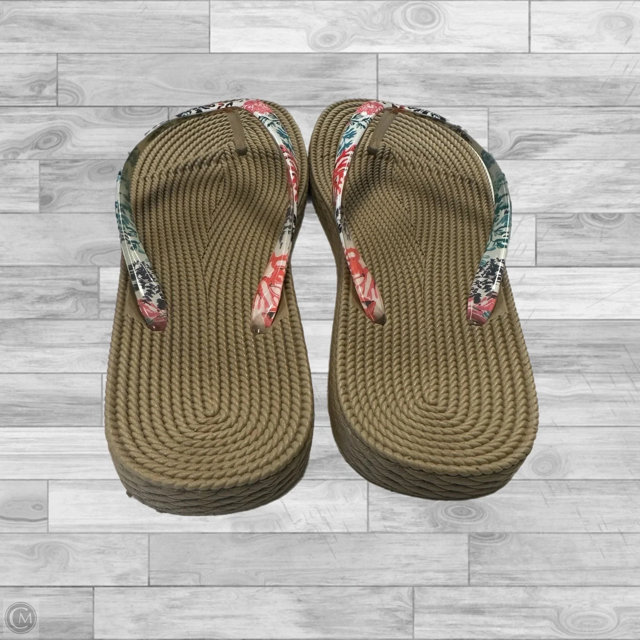 Sandals Flip Flops By Clothes Mentor In Multi-colored, Size: 7