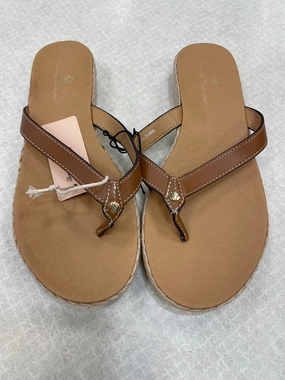 Sandals Flip Flops By Tommy Bahama In Tan, Size: 7