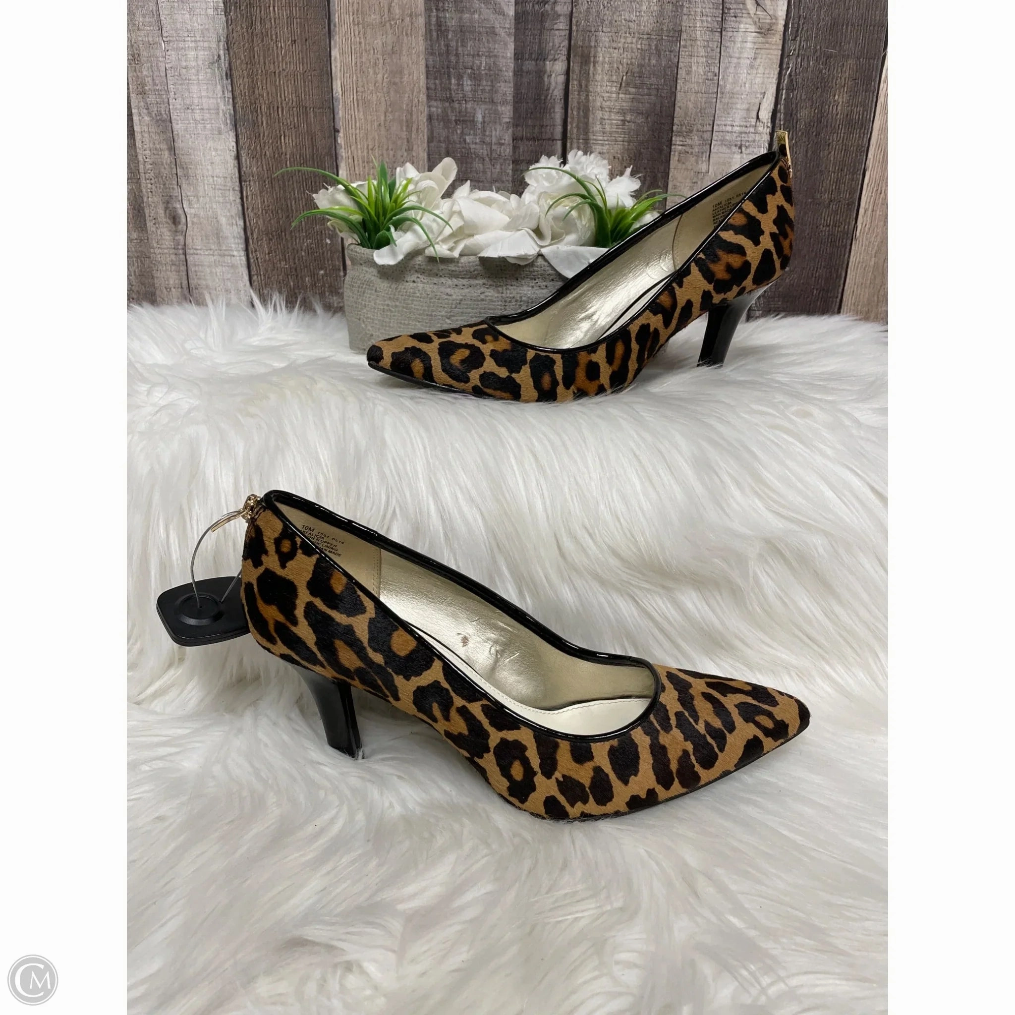 Shoes Heels Stiletto By Anne Klein In Animal Print, Size: 10