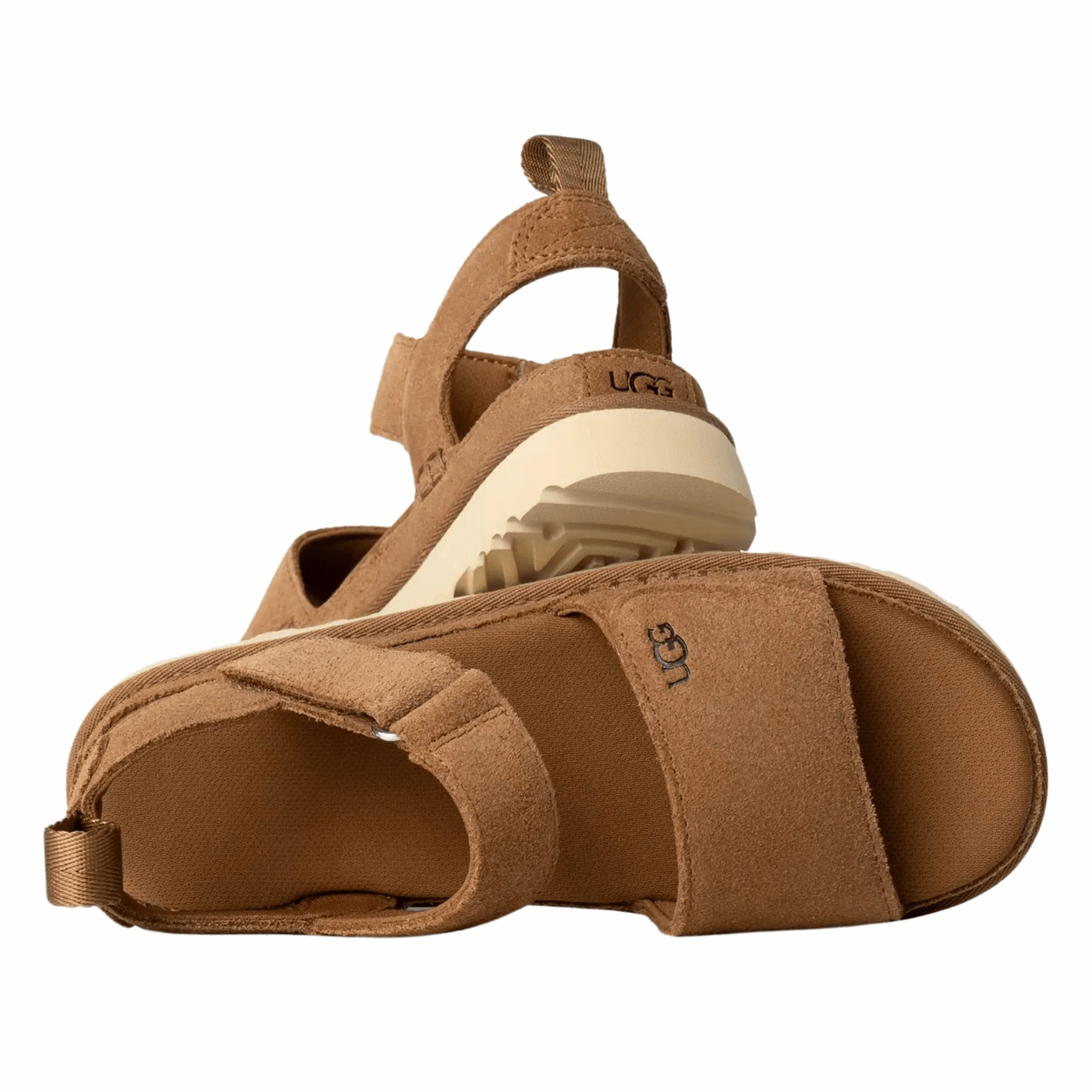 Women's Goldenstar
